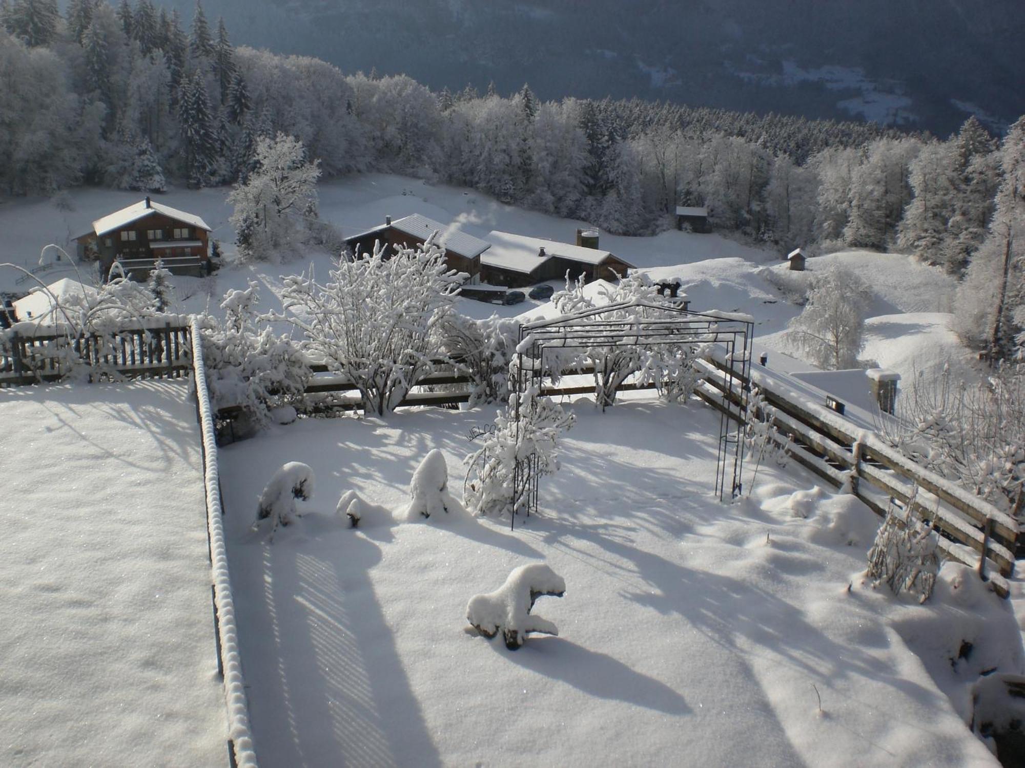 Pension Staldacher Hasliberg Bagian luar foto