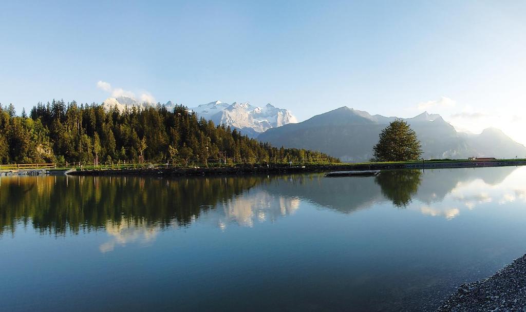 Pension Staldacher Hasliberg Bagian luar foto